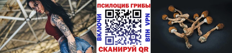 Галлюциногенные грибы мицелий  Северобайкальск 